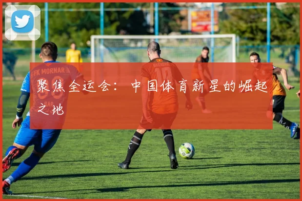 聚焦全运会：中国体育新星的崛起之地