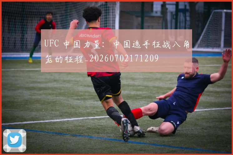 UFC 中国力量:中国选手征战八角笼的征程_20260702171209