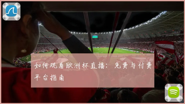 如何观看欧洲杯直播：免费与付费平台指南